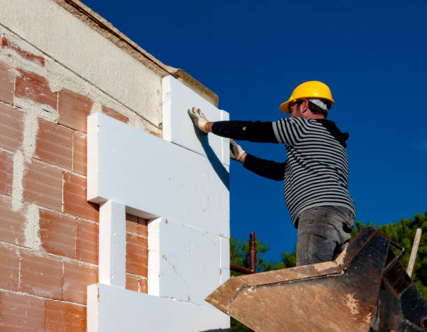 Best Insulation Installation Services in Monroeville, AL