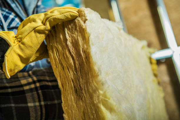 Best Residential Insulation in Monroeville, AL